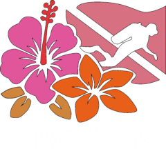 DiveMara Scuba Snorkeling Diving Travel Ecology